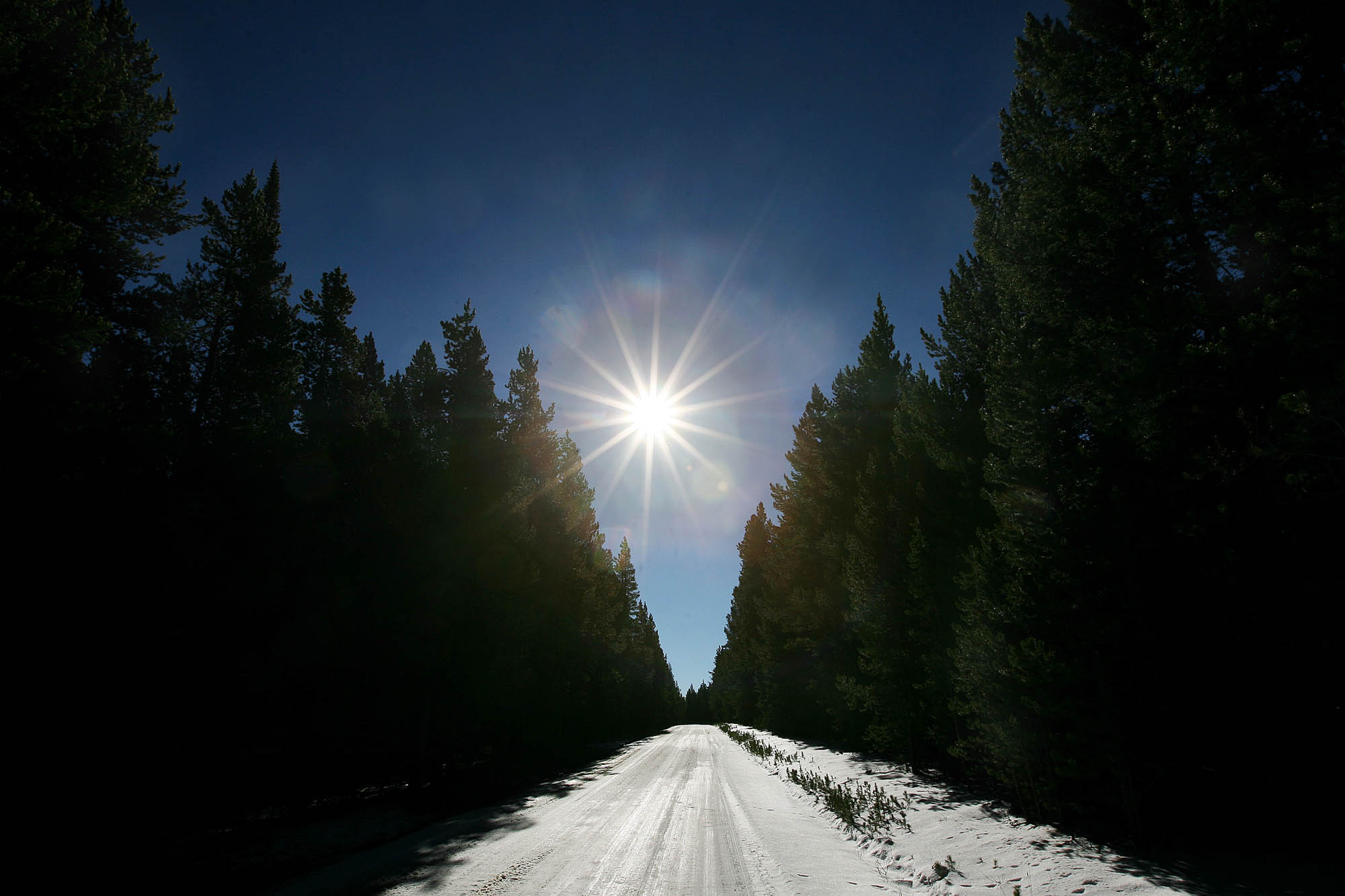 PHOTO: Sunlight illuminates a country road covered in snow near Fox Park in Medicine Bow National Forest in this Oct. 25, 2007 file photo.