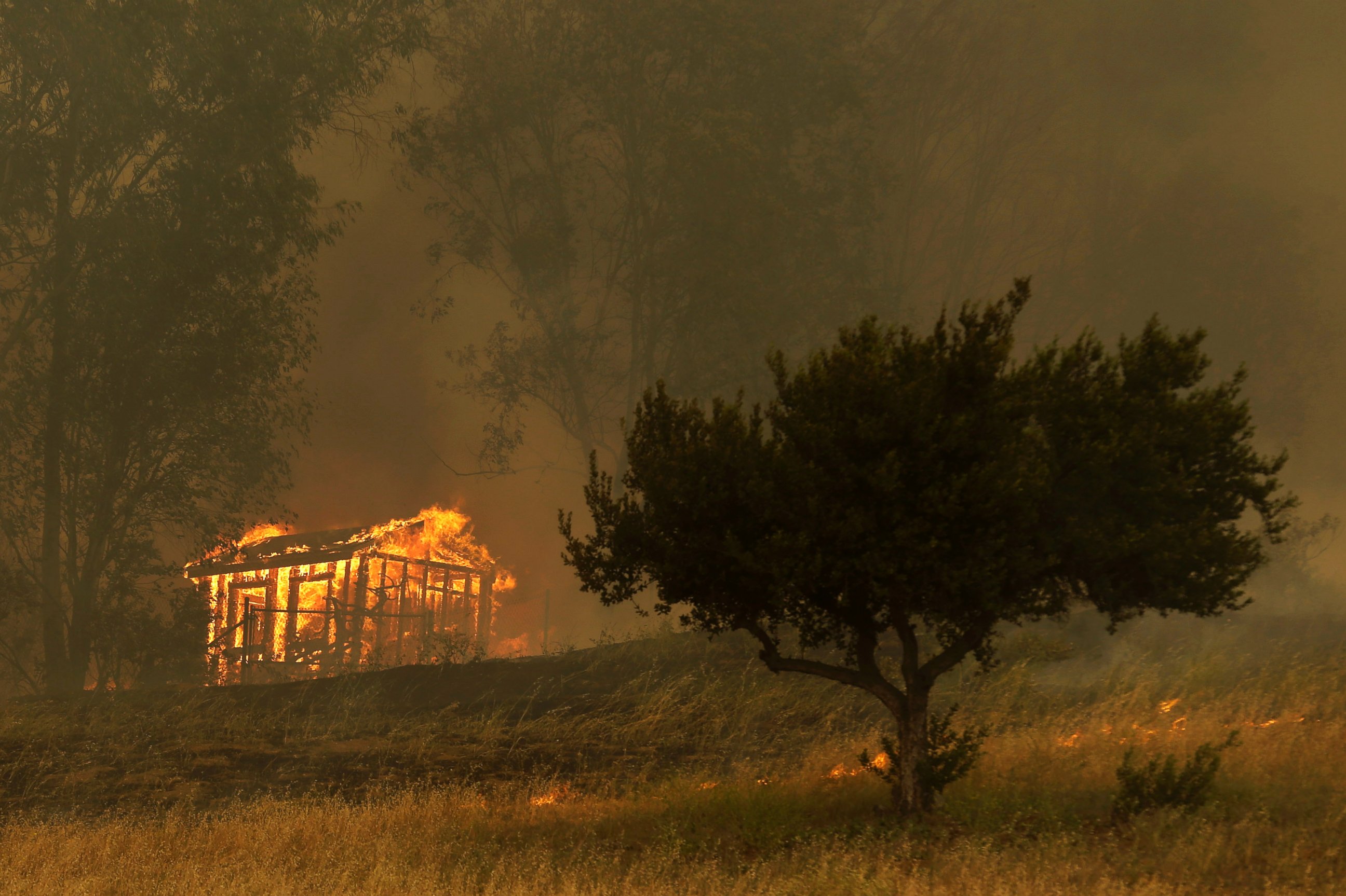 PHOTO: Fire engulfs a structure during a wildfire, May 15, 2014, in Escondido, Calif.