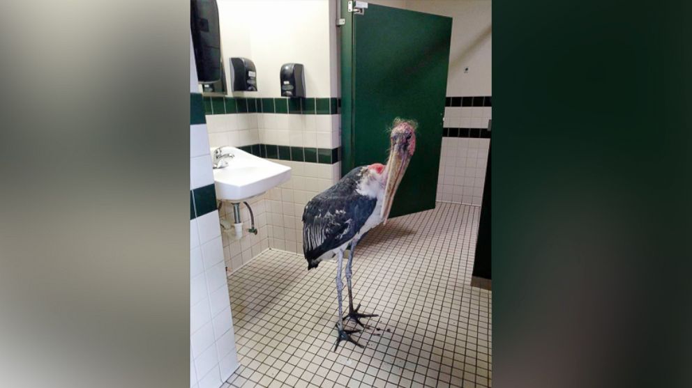 tampa zoo hurricane damage