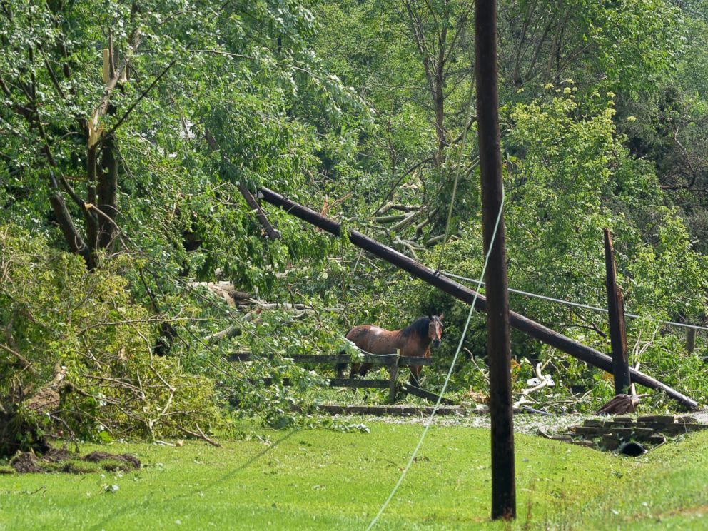 PHOTO: In this photo provided by Frank Oliver, a horse roams following a tornado south of Mace, Ind., Wednesday August 24, 2016.