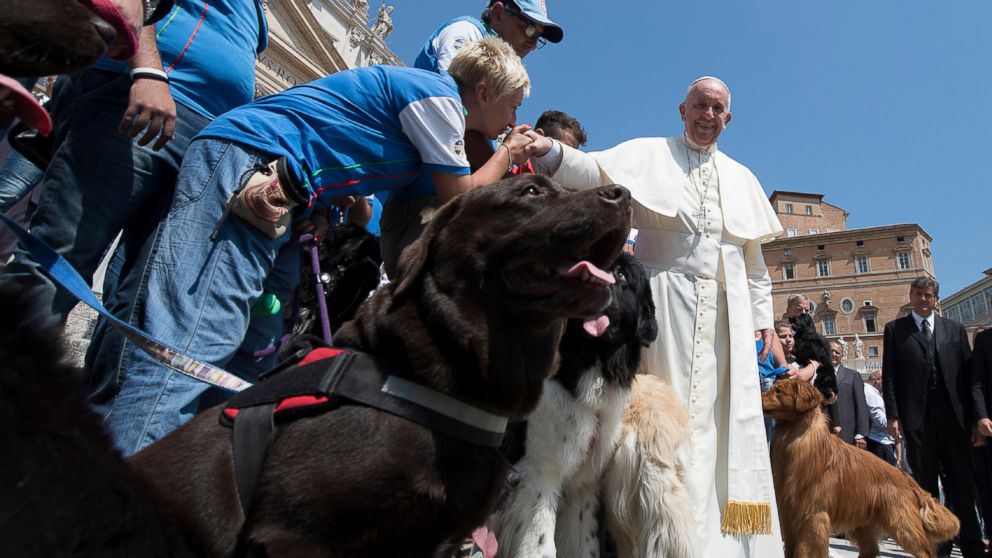 Pope Francis greets members of a marine search and rescue dogs school at the end of his weekly general audience in St. Peter's Square at the Vatican, June 8, 2016. 