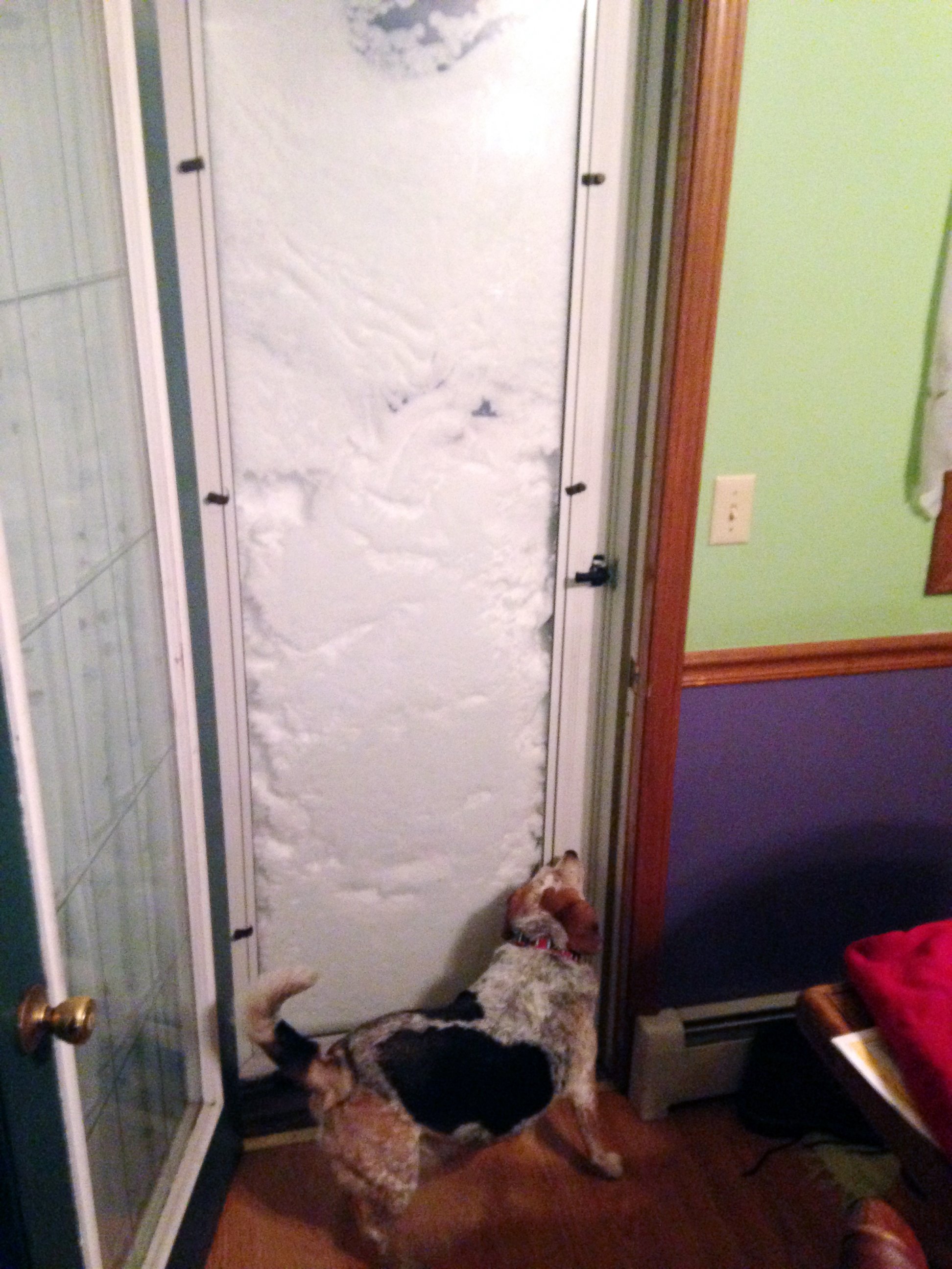 PHOTO: In this photo provided by Patrick Bryne, his dog, Bonnie, sniffs a door  blocked with snow, Nov. 18, 2014, in South Buffalo, N.Y.