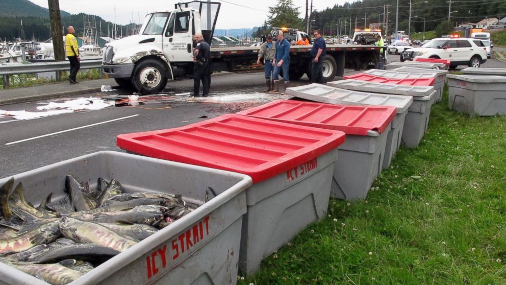 Fish bins dott the median along a busy highway as authorities worked to clean up after a transport truck carrying chum salmon rolled on July 25, 2016, in Juneau, Alaska. 