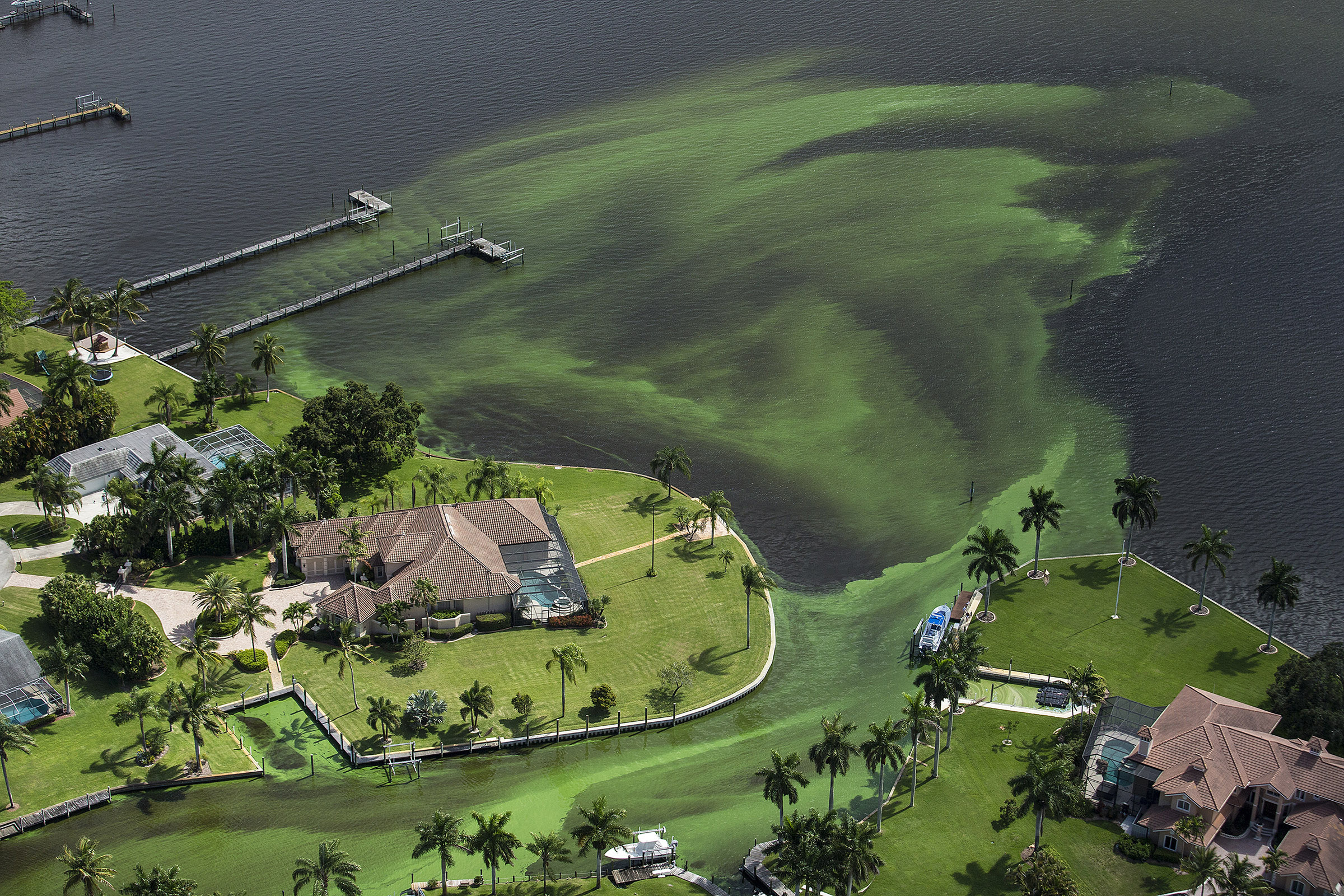 PHOTO: An aerial photo shows blue-green algae enveloping an area along the St. Lucie River in Stuart, Fla., June 29, 2016.