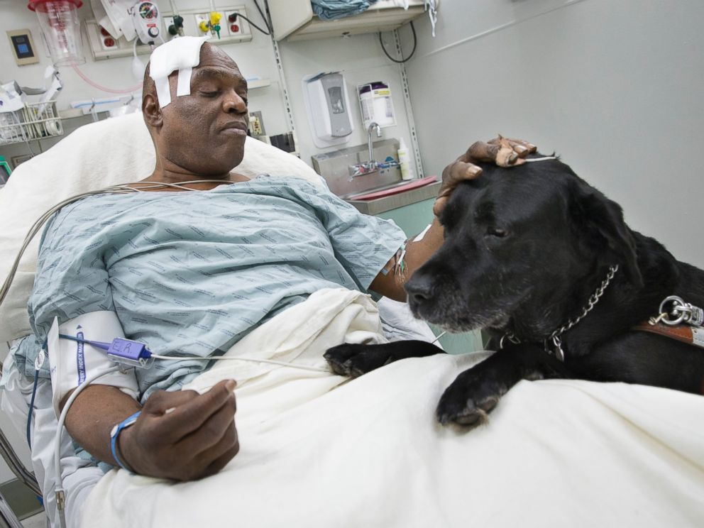 PHOTO: Cecil Williams pets his guide dog Orlando in his hospital bed following a fall onto subway tracks from the platform at 145th Street, Dec. 17, 2013, in New York.