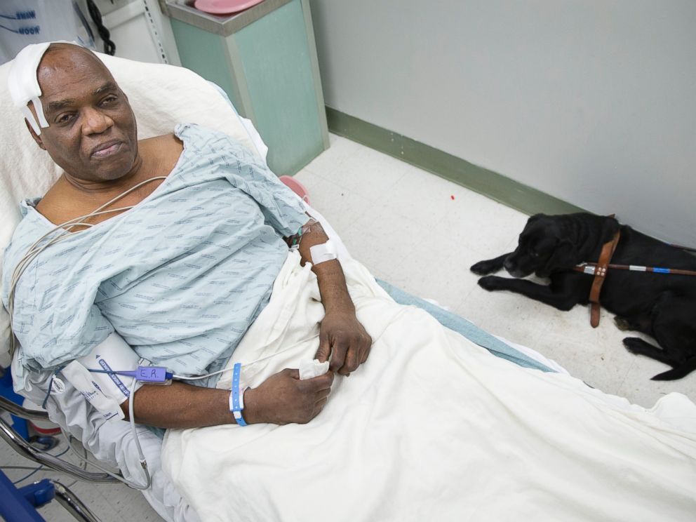 PHOTO: Cecil Williams sits with his guide dog Orlando in his hospital bed following a fall onto subway tracks from the platform at 145th Street, Dec. 17, 2013, in New York.