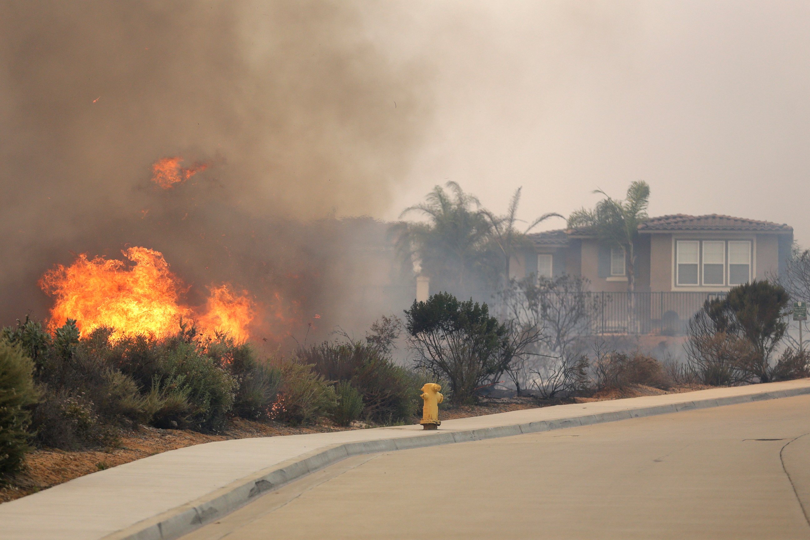 PHOTO: A wildfire climbs a canyon toward homes, May 14, 2014, in Carlsbad, Calif. 