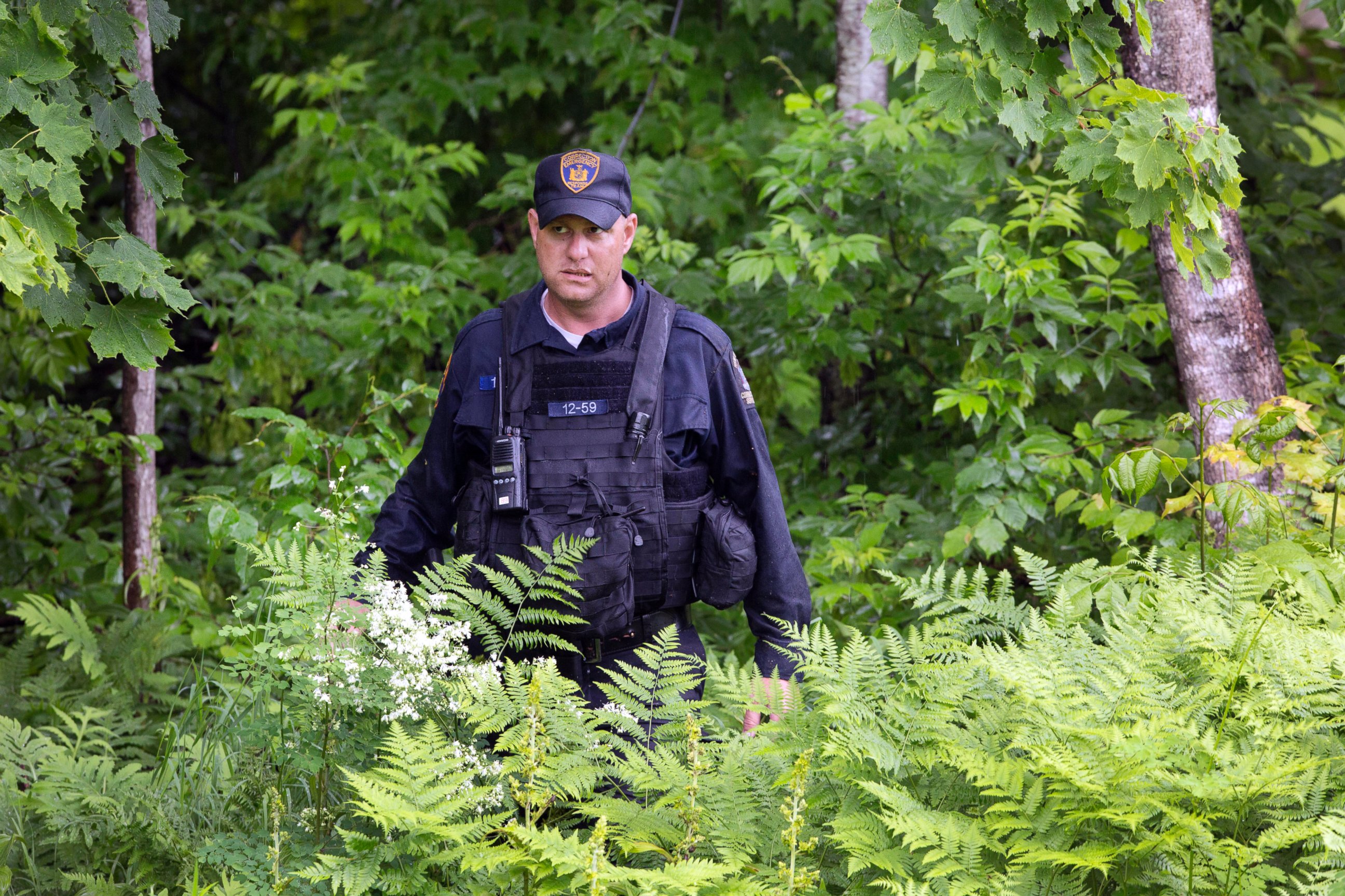 PHOTO: A corrections officer emerges from the woods after searching with a team near the Clinton Correctional Facility, June 16, 2015, Dannemora, N.Y.