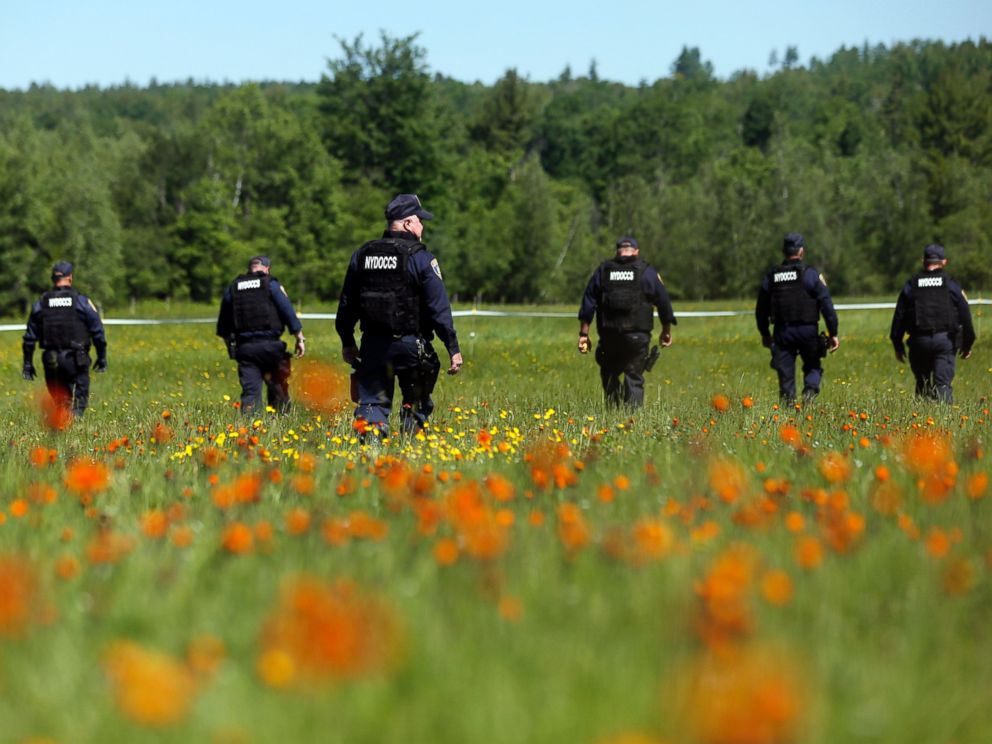 PHOTO: Law enforcement officers walk in a field along Route 3, June 13, 2015, in Saranac, N.Y.