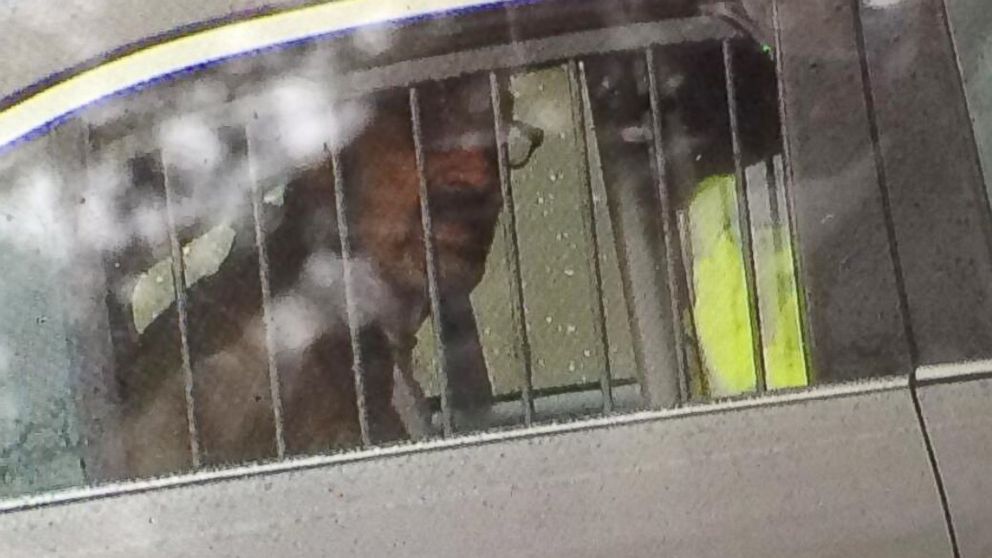 This photo provided by 41ActionNews, shows Frazier Glenn Cross on April 13, 2014. 