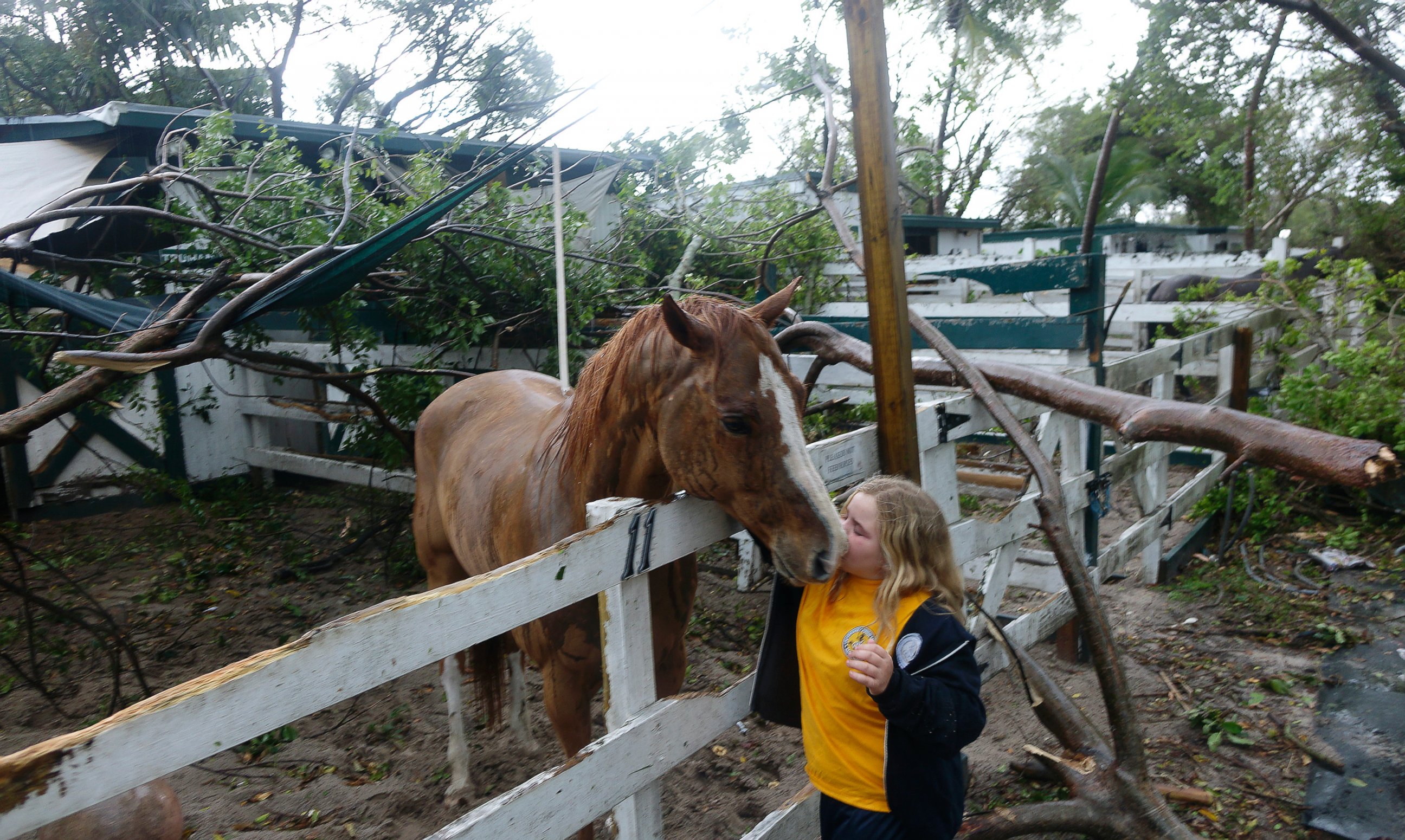 PHOTO: Emma Loesel, 9, comforts her horse, Truman, after a tree had fallen on his stable at Sand & Spurs equestrian park in Pompano Beach, Fla., Feb. 16, 2016.