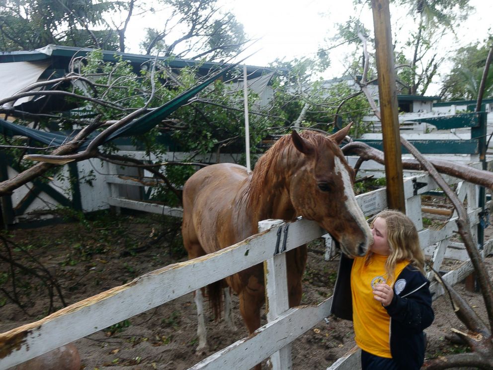PHOTO: Emma Loesel, 9, comforts her horse, Truman, after a tree had fallen on his stable at Sand & Spurs equestrian park in Pompano Beach, Fla., Feb. 16, 2016.