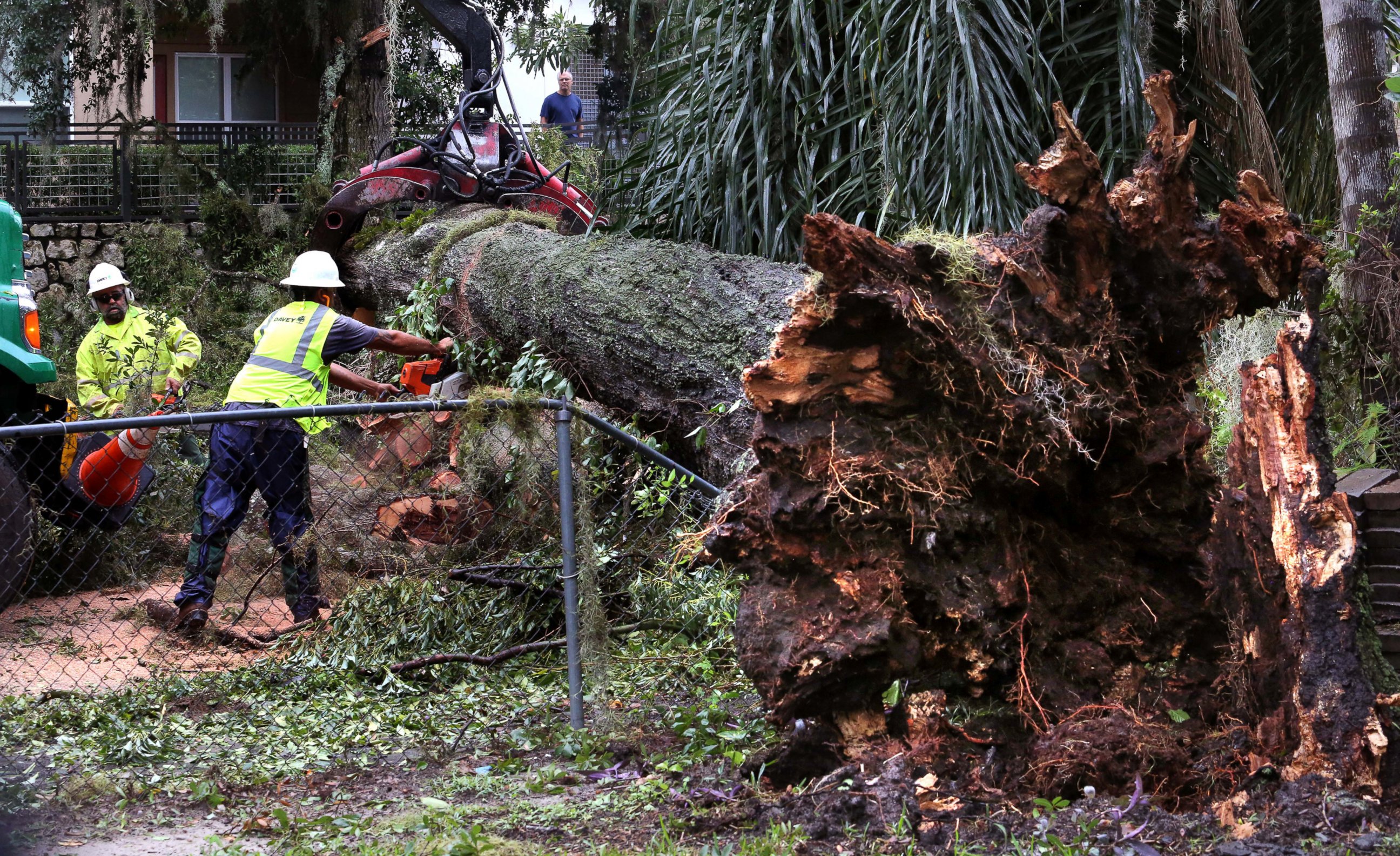 PHOTO: Workers from Davey Tree Service cut up a massive tree that closed Haven Drive in the Ivanhoe District of Orlando, Florida, after winds from Hurricane Matthew pass through, Oct. 7, 2016. 