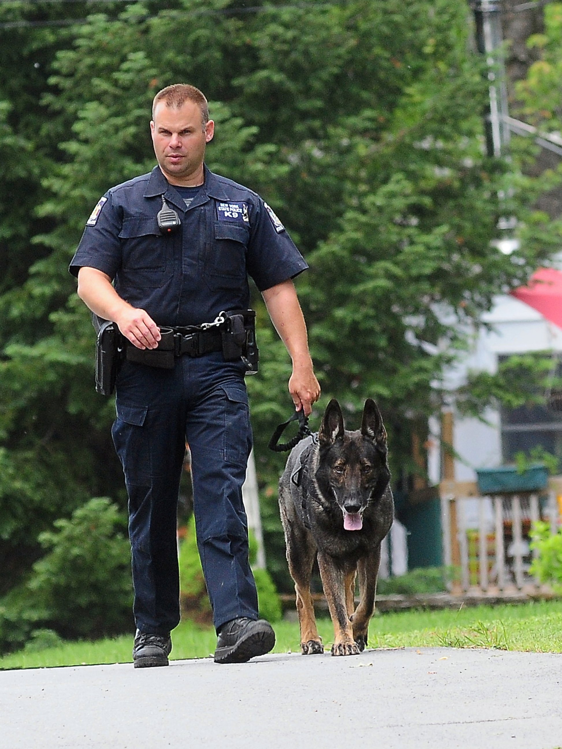 PHOTO: A law enforcement agent walks with a K-9, June 10, 2015 in Dannemora, N.Y.