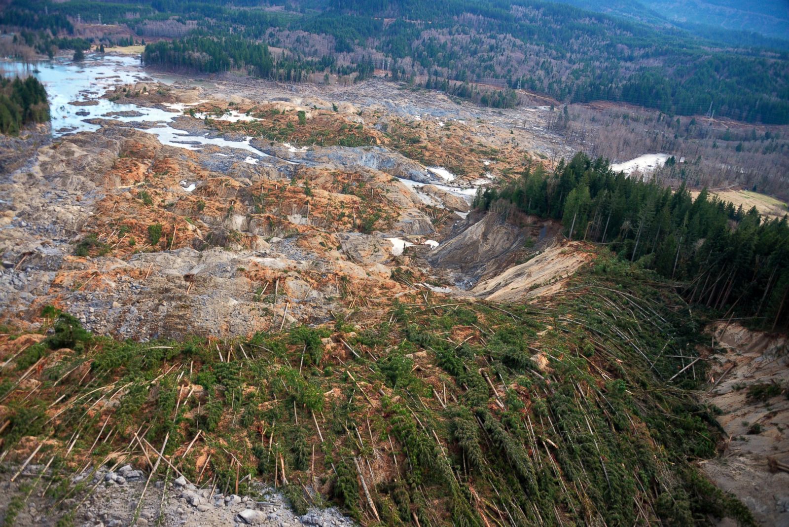 Death Toll Rises In Washington Mudslide Photos | Image #91 - ABC News