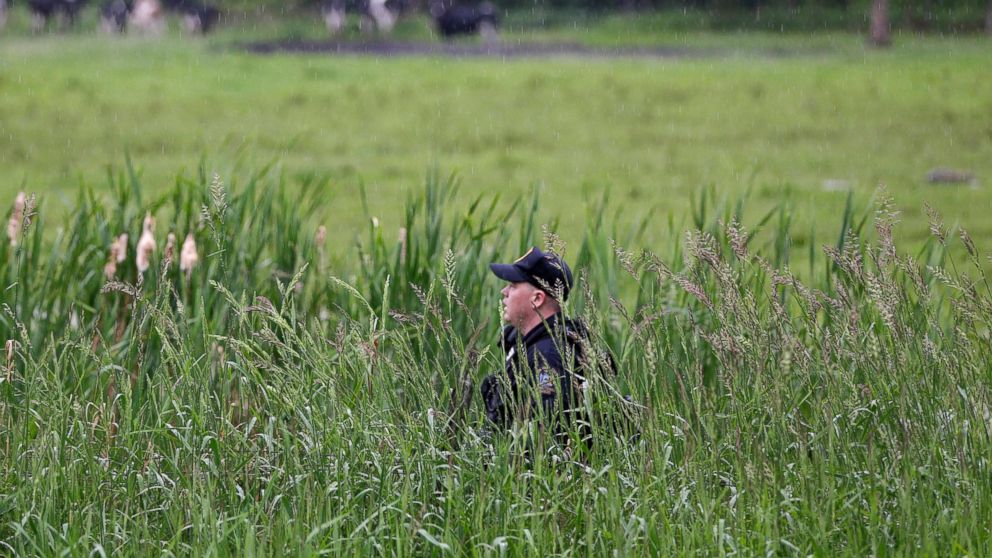 A law enforcement officer walks through a swampy area searching for escaped prisoners near Essex, N.Y., June 9, 2015.