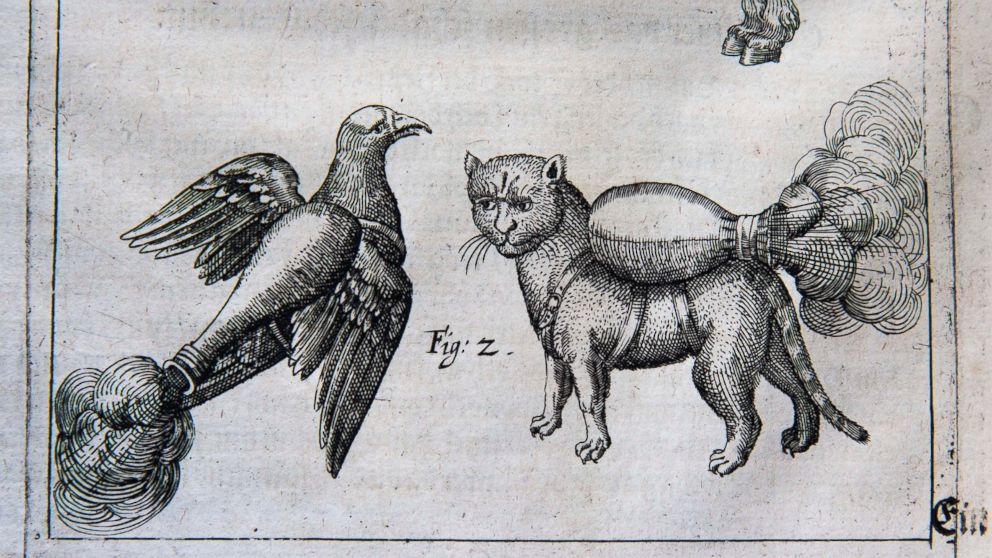 An illustration from a manual by 16th century artillery master Franz Helm is on display at the University of Pennsylvania library in Philadelphia, Pa. on March 4, 2014. The manual on artillery and siege warfare depicts a cat and dove strapped with bombs, which are meant to set fire to a castle or city.