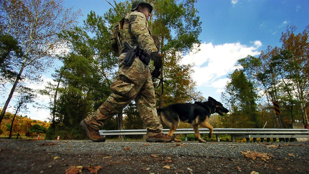PHOTO: A member of law enforcement walks a K-9 dog to the woods, Oct. 8, 2014, in Price Township near Canadensis, Pa., searching for killer Eric Frein.