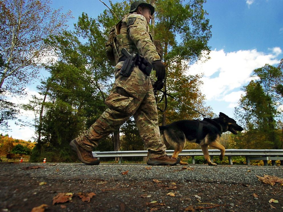 PHOTO: A member of law enforcement walks a K-9 dog to the woods, Oct. 8, 2014, in Price Township near Canadensis, Pa., searching for killer Eric Frein.