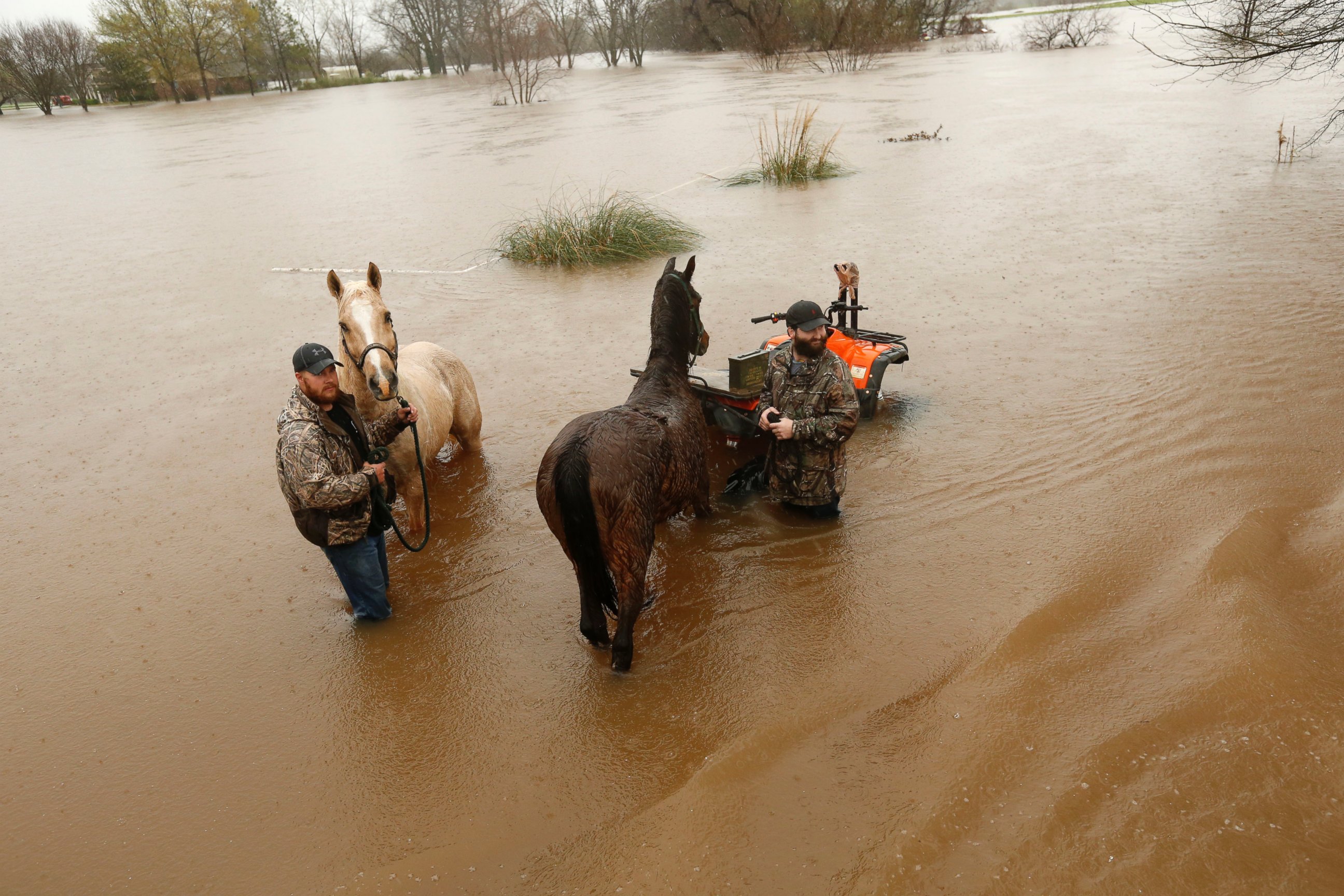 PHOTO: Two men secure two horses in rising floodwaters in Bossier Parish, La., March 10, 2016.