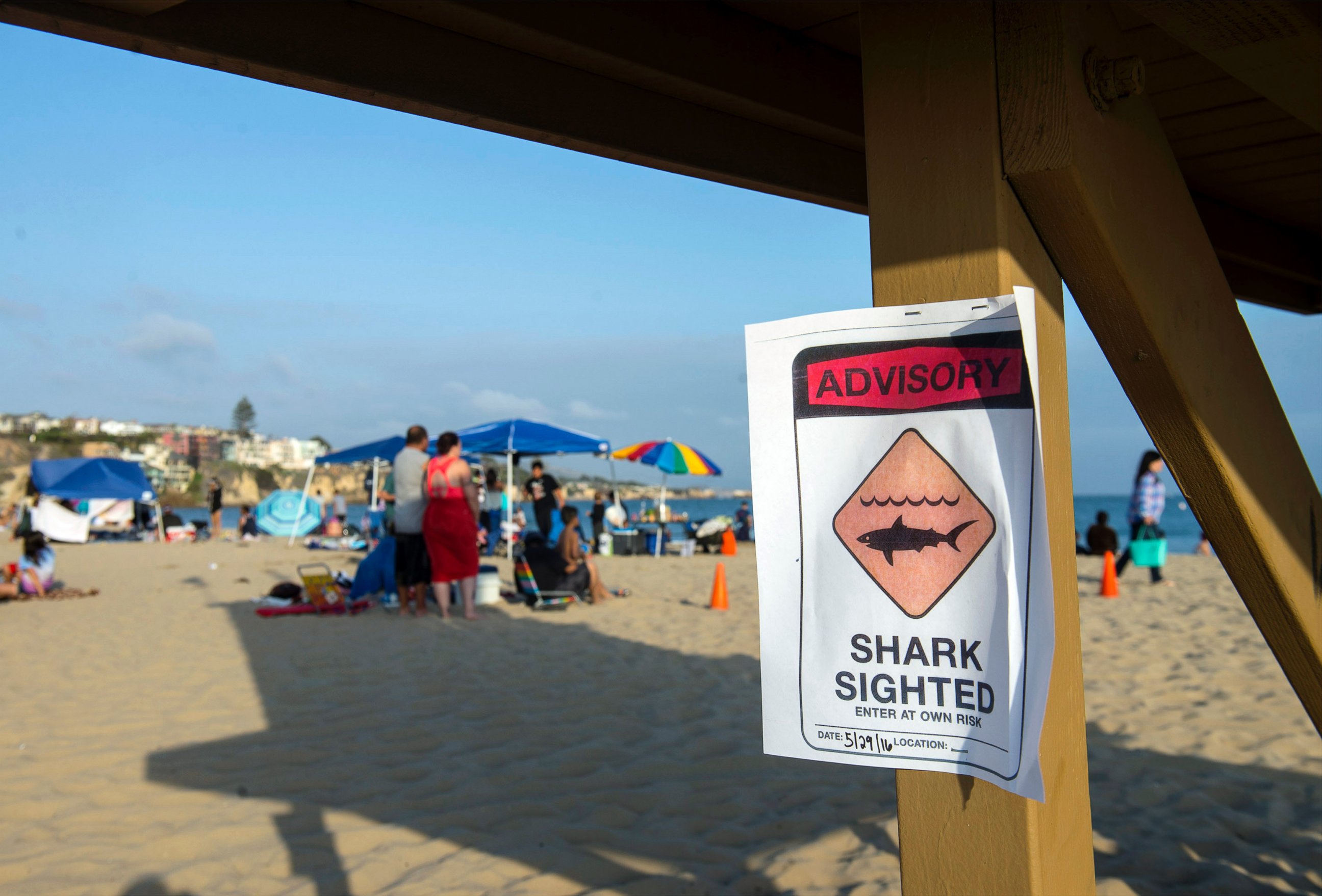 PHOTO: A possible shark sighting at Corona del Mar State Beach closes the shoreline on Sunday, May 29, 2016. 