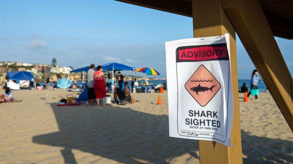 PHOTO: A possible shark sighting at Corona del Mar State Beach closes the shoreline on Sunday, May 29, 2016. 