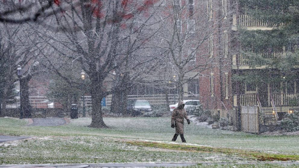A person walks through a park in the falling snow on Jan. 17, 2016, in Trenton, N.J. 