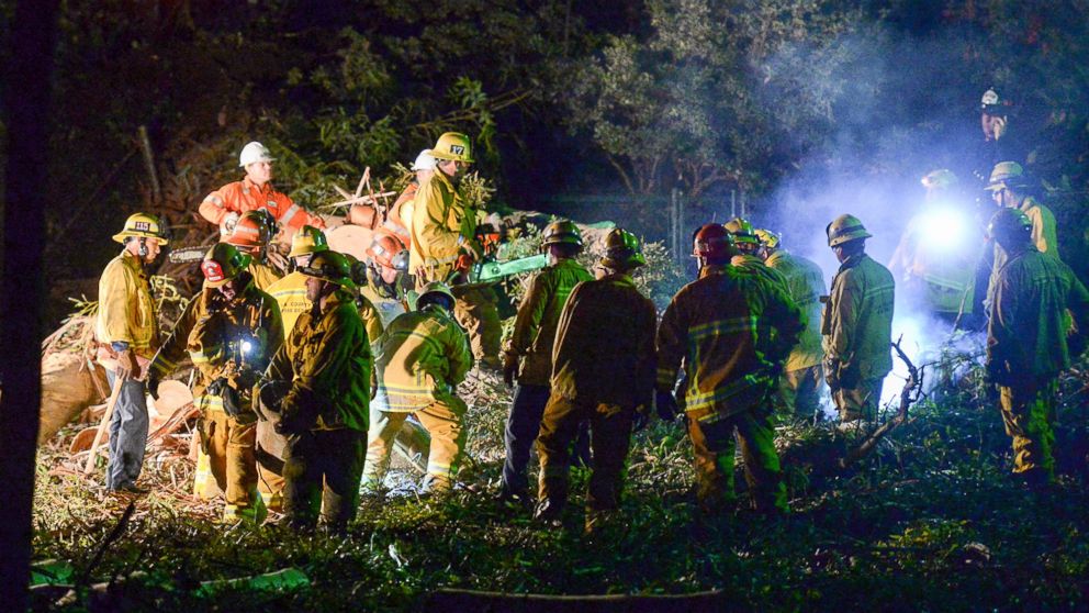 Mother Of The Bride Identified As Woman Killed By Falling Tree During