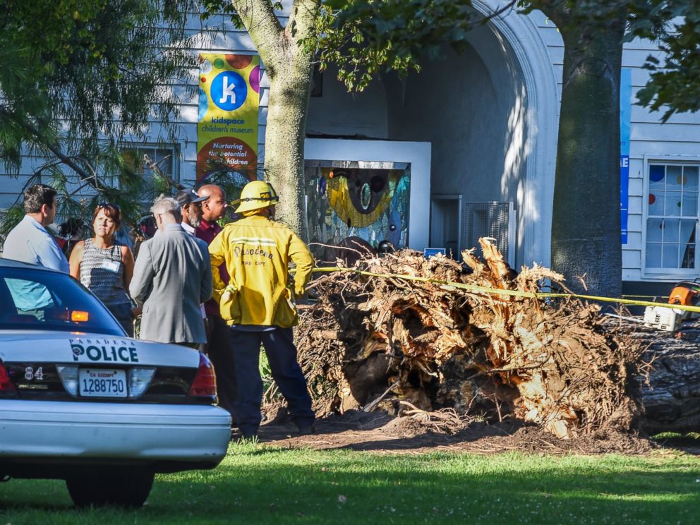 PHOTO: Officials stand by a tree that fell near the Kidspace Childrens Museum in Pasadena, Calif., Tuesday, July 28, 2015. Witnesses say the tree came down on children just as a summer day camp at the museum was letting out for the day.
