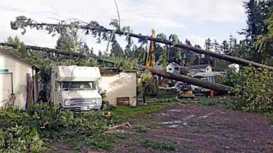 PHOTO: Trees fell on outbuildings and a trailer when a tornado passed through, Sept. 30, 2013 in the Frederickson neighborhood near Puyallup, Wash.