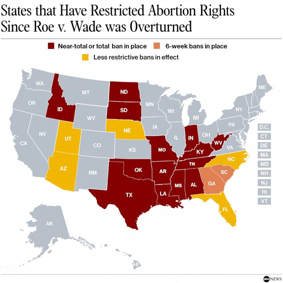 Fighting for their lives: Women and the impact of abortion restrictions ...