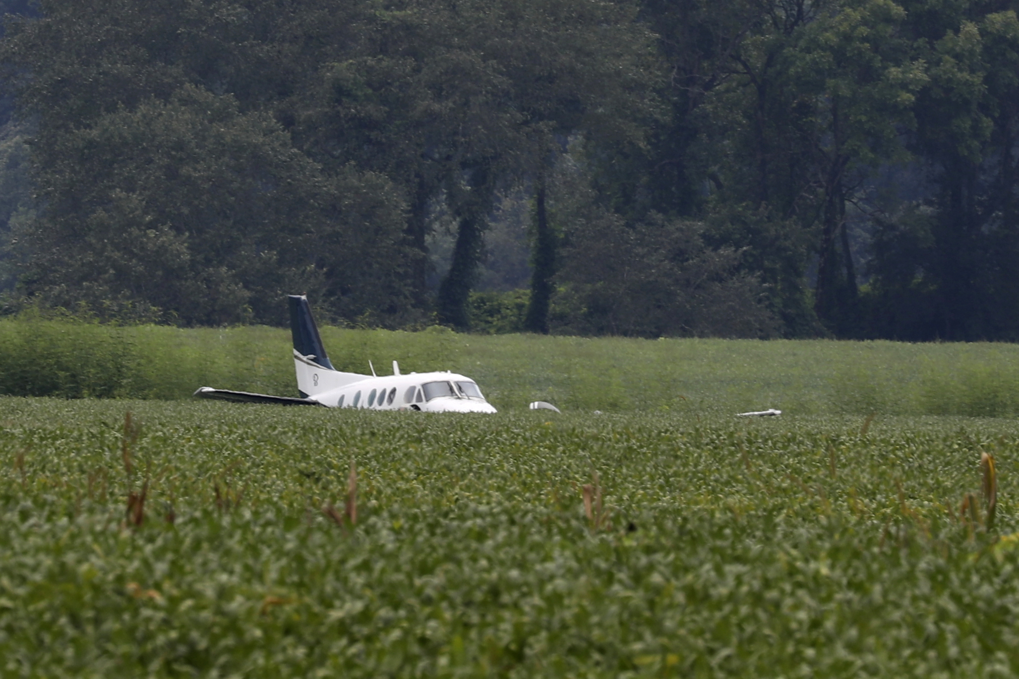 PHOTO: A stolen airplane rests in a field of soybeans after crash-landing near Ripley, Miss., Sept. 3, 2022. 