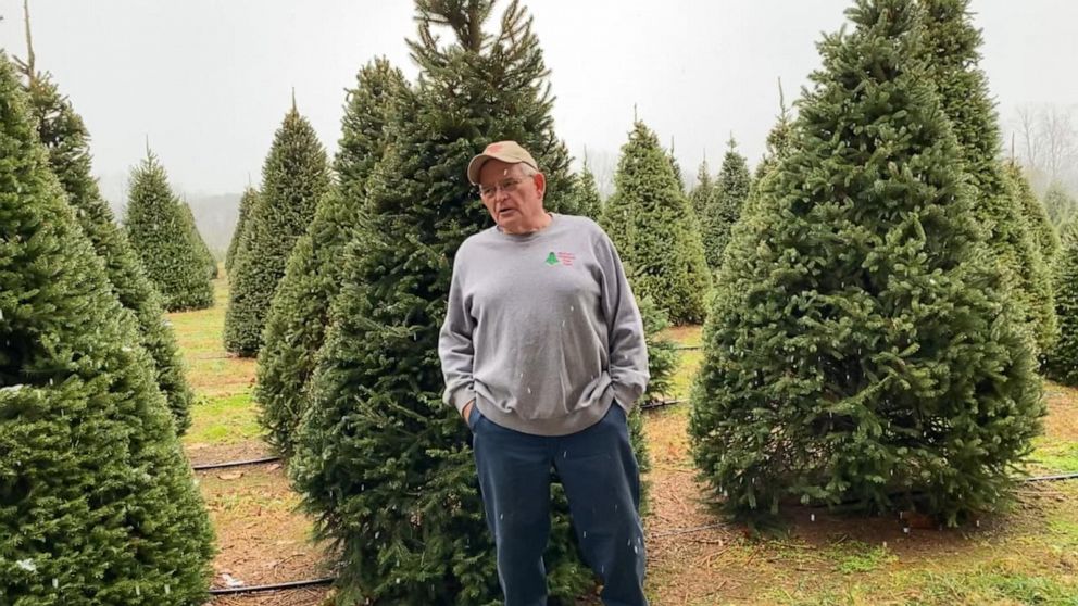 PHOTO: Dale Barker is a 3rd generation farmer at the Barkers Christmas Tree Farm in Lexington, Kentucky. His family has been growing Christmas trees for nearly 80 years.