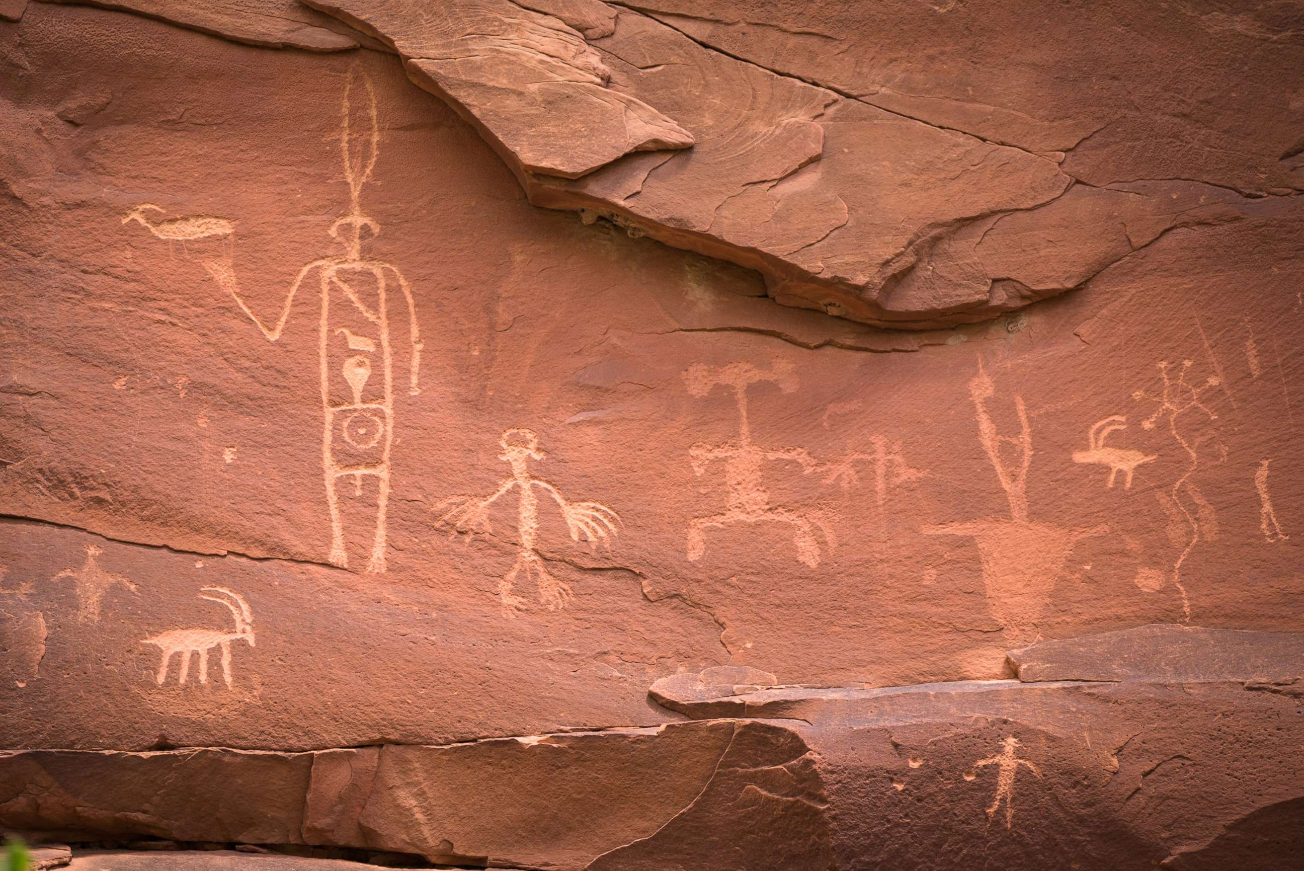 PHOTO: Petroglyphs in Comb Wash, near the Comb Ridge area of Bears Ears National Monument.