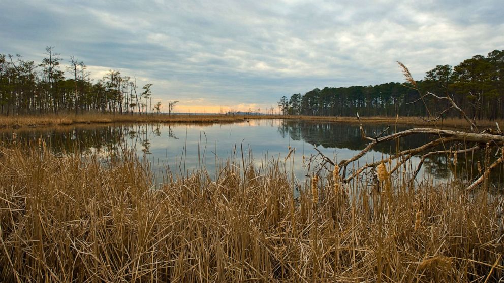 Maryland wildlife refuge fights to protect American history from ...