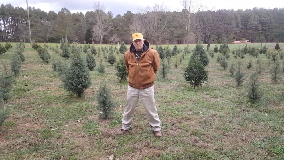 PHOTO: Local tree farmer Brad Barick at Back Acres Christmas Tree Farm in Raleigh, North Carolina.
