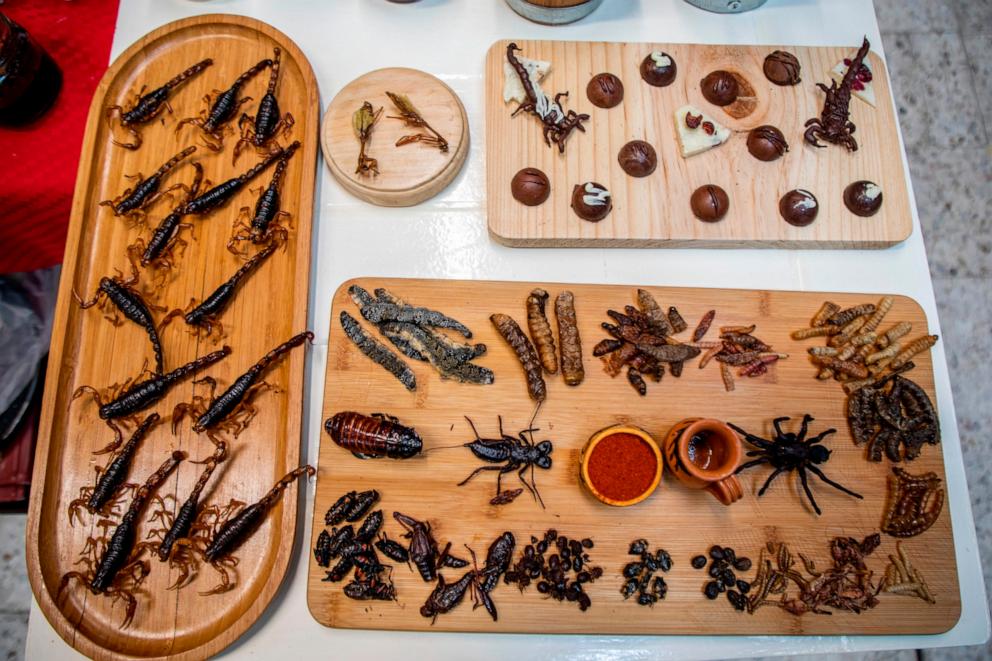 PHOTO: Insects as food