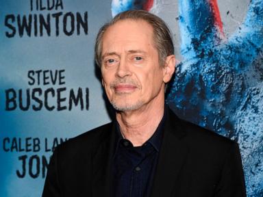 Man in custody for punching actor Steve Buscemi