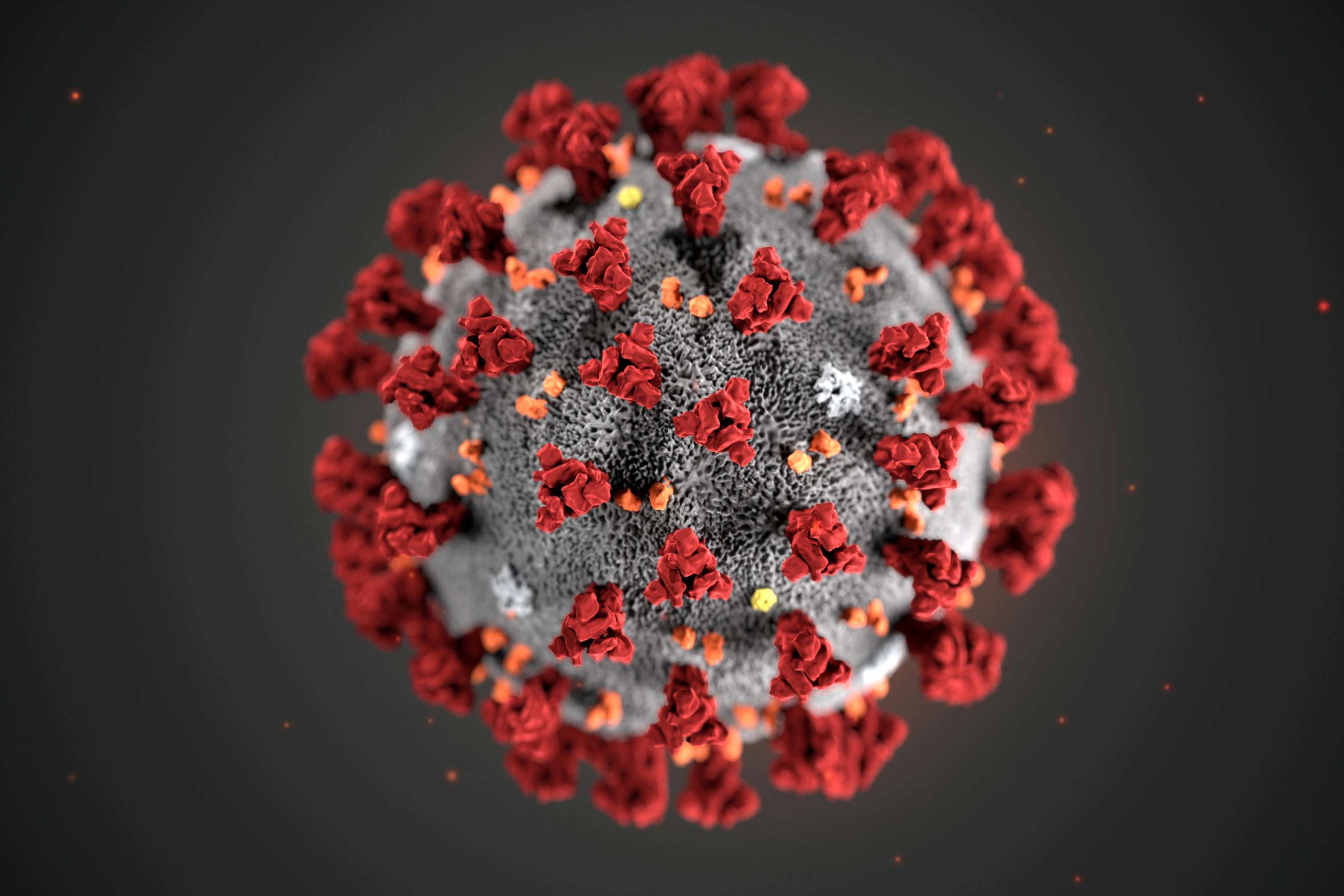 PHOTO: The ultrastructural morphology exhibited by the 2019 Novel Coronavirus (2019-nCoV), which was identified as the cause of an outbreak of respiratory illness first detected in Wuhan, China, is seen in an illustration released by the CDC.