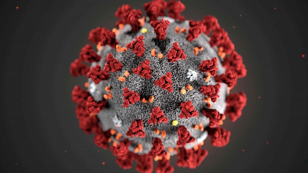 PHOTO: The ultrastructural morphology exhibited by the 2019 Novel Coronavirus (2019-nCoV), which was identified as the cause of an outbreak of respiratory illness first detected in Wuhan, China, is seen in an illustration released by the CDC.