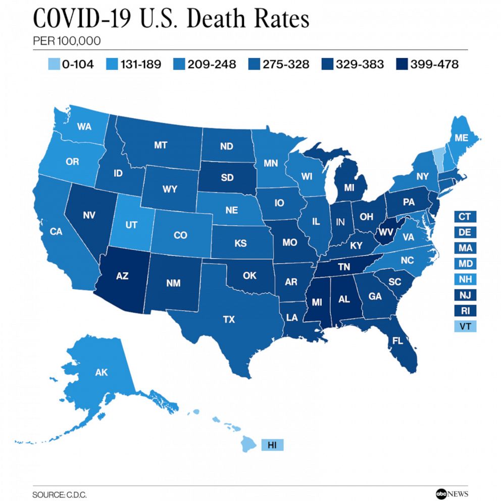 COVID-19 美国每 10 万人的死亡率