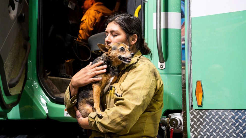PHOTO: Firefighter Joanna Jimenez holds a dog she found wandering in a fire evacuation zone as the Oak Fire burns in Mariposa County, Calif., July 23, 2022.  