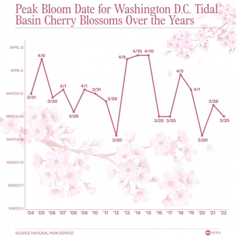 Peak bloom date for Washington D.C. Tidal Basin cherry blossoms over the years