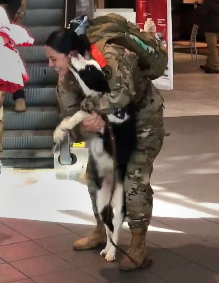 PHOTO: Cassandra Cabrera is greeted by her dog, Miss May at the airport upon her return from a deployment that separated them when Missy May was still a puppy.