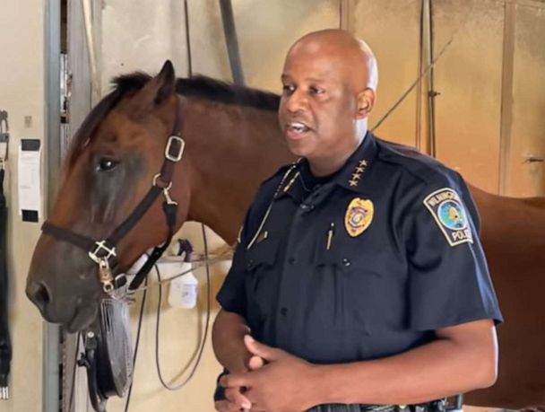 Police horse recovering after being struck by drunk driver for second time in career