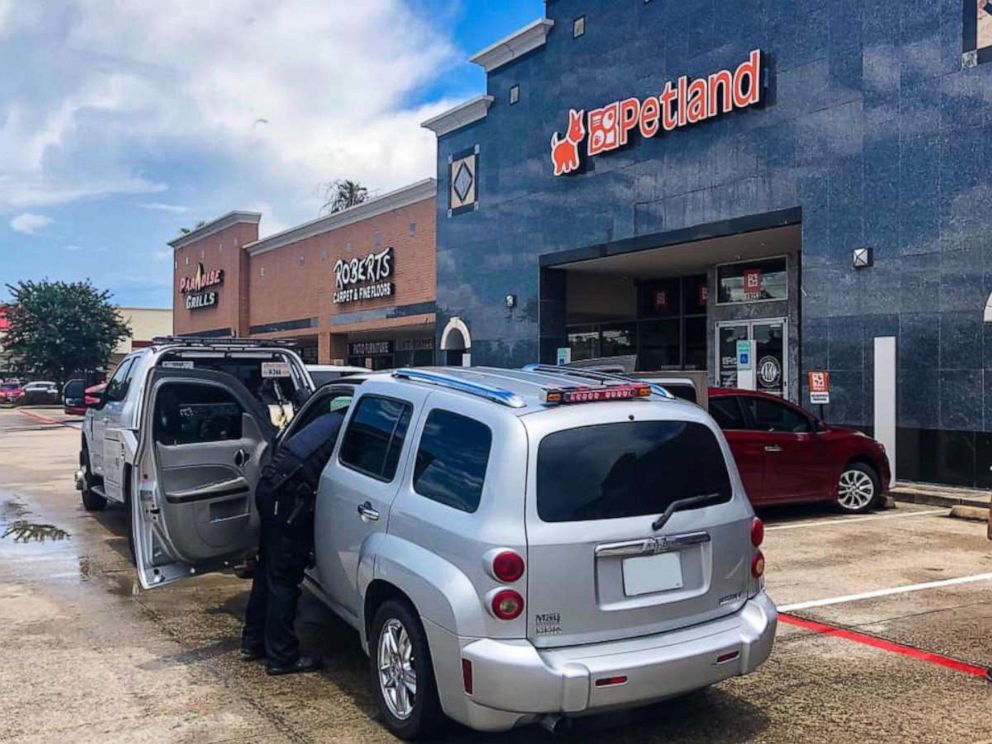 PHOTO: Two women have been arrested after allegedly stealing a 14-week French bulldog puppy worth $10,000 from a pet store in Shenandoah, Texas, on Monday, July 5, 2021.
