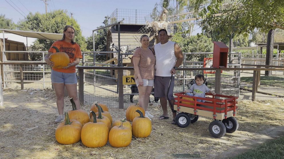 PHOTO: The Faharda family at the "Underwood Family Farms" in Ventura Country, California, on Oct. 14. 