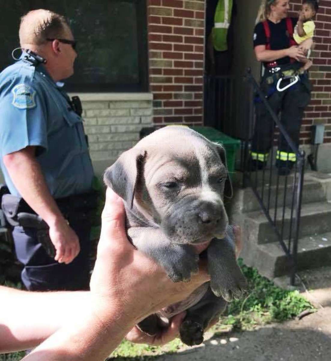 Firefighters in Ferguson, Missouri, saved a pup that fell 20 feet down into a pipe.
