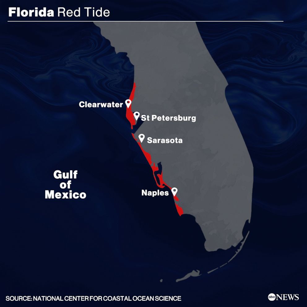 PHOTO: Florida Red Tide