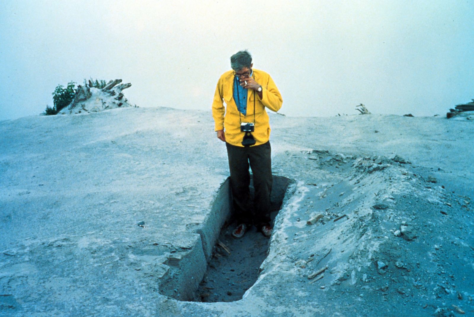 mt st helens eruption 1980 case study